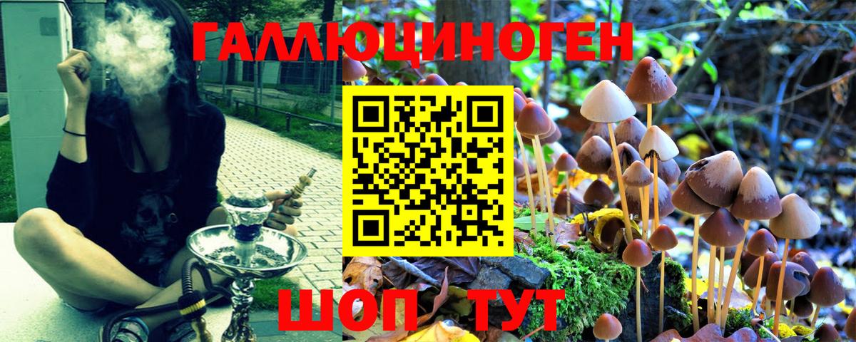 Галлюциногенные грибы Cubensis Богданович